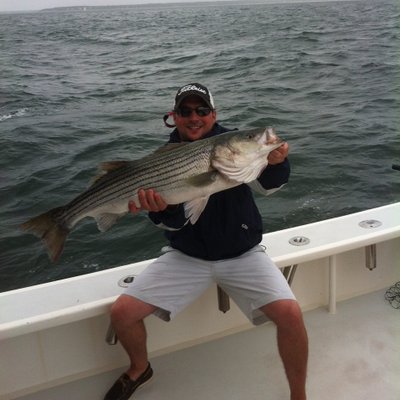 Profile Picture of Jeff Pollard (@jeffpollard22) on Twitter