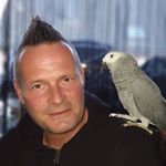 Profile Picture of Andreas Reinhardt (@andreas.reinhardt.507) on Instagram