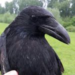 Margot Meyer - Instagram Profile Picture of Margot Meyer (@margot.meyer) on Instagram