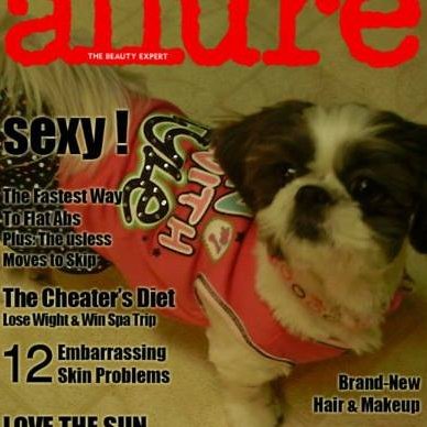 Profile Picture of Pam Hales (@pammygirl1979) on Twitter