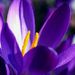 Profile Picture of Bobbie Cubbage (@bobbiecubbage) on Pinterest