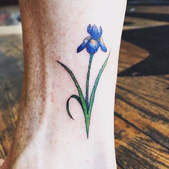 Evan Gilbert - Poshmark Profile Picture of Evan Gilbert (@evaniris) on Poshmark