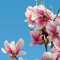 Profile Picture of Nancy Keller (@NancyKe09213120) on Twitter