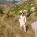 Profile Picture of Abdullah Mohmand (@mohmand4700) on Instagram