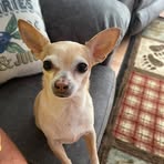 Profile Picture of Wilmer Peterson (@wilmer.peterson.2025) on Facebook