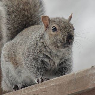 Profile Picture of Steve Friederichsen (@steve.friederichsen) on Facebook