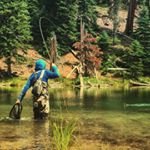 Toby Nolan - Instagram Profile Picture of Toby Nolan (@erlucesi) on Instagram