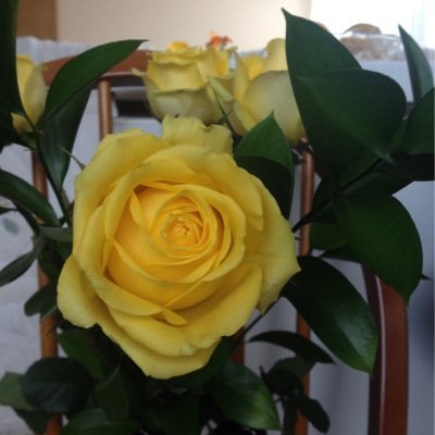 Profile Picture of Mary Ann Dobbs (@MaryAnnDobbs1) on Twitter