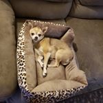 Profile Picture of tonya ponder (@pondtonya) on Instagram