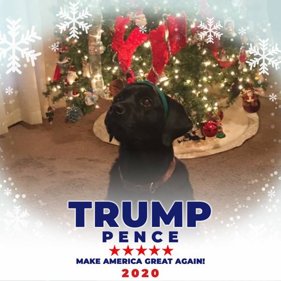 Profile Picture of Renee Zwiebel (@jezraz06) on Poshmark