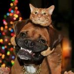 Profile Picture of Dillon Day (@dillon_80901) on Instagram