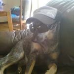 Profile Picture of Corey Obrien (@corey.obrien.756) on Instagram