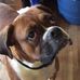 Profile Picture of Bobbi Waldron (@bobbi.waldron.942) on Facebook