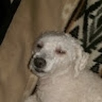 Profile Picture of Chris Rudzinski (@chris-rudzinski-8) on Quora