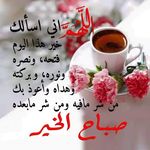 Profile Picture of sayd aber (@saydaber) on Instagram
