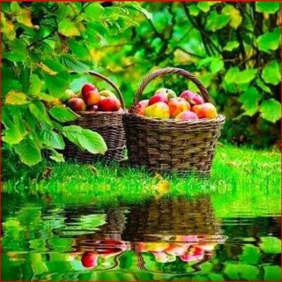 Profile Picture of Deborah De Silva (@debbiede50) on Twitter