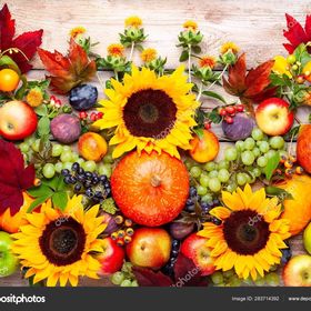 Profile Picture of Michelle Ritz Randall (@atammcreation) on Pinterest