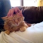 Profile Picture of Mohammed Azizi (@3azizii) on Instagram