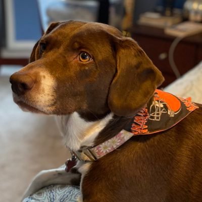 Profile Picture of Chris Ramm (@86914270c) on Twitter