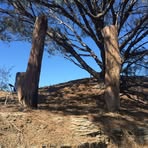 Profile Picture of Paul Redway (@Paul-Redway) on Facebook