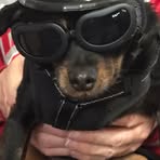 Profile Picture of Walter Cornell (@walter.cornell.35) on Facebook