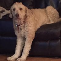 Profile Picture of Doug Sheppard (@doug-sheppard-7) on Quora