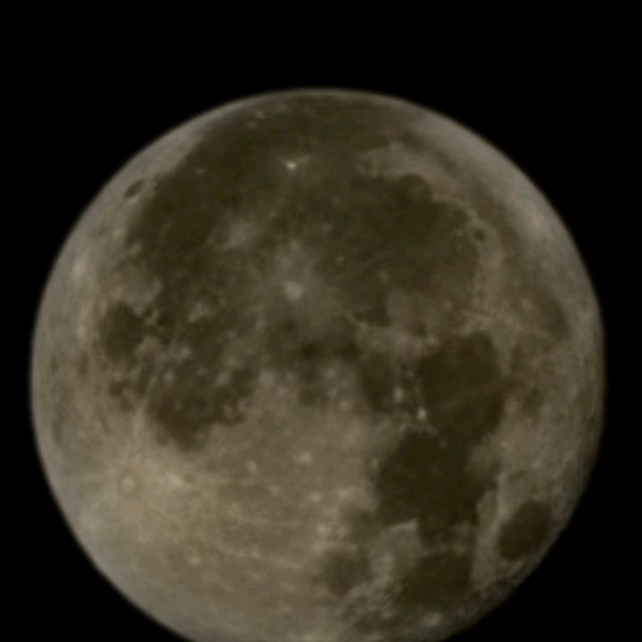 Profile Picture of John Black (@john.black87) on Tiktok