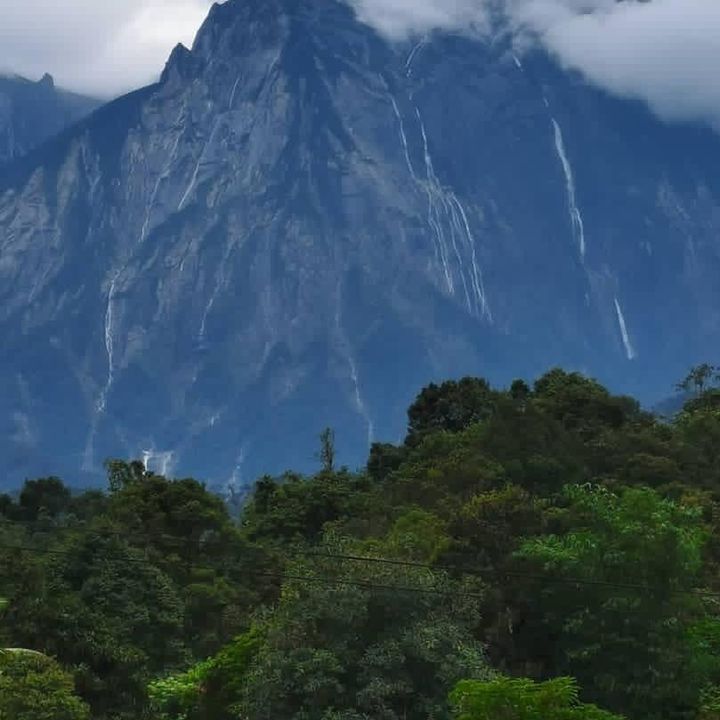 Profile Picture of John daughter (@john_daughter) on Tiktok