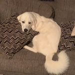 Profile Picture of Ayden Roberts (@ayden.roberts246) on Instagram