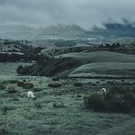 Profile Picture of George Cheng (@cyh032509) on Flickr