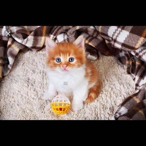 Profile Picture of Nasra Ali (@ahmednasro557) on Poshmark