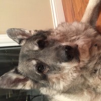 Profile Picture of Brett Eckert (@brett-eckert) on Quora