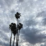 Profile Picture of Sarah Cantor (@italian4ucla) on Instagram