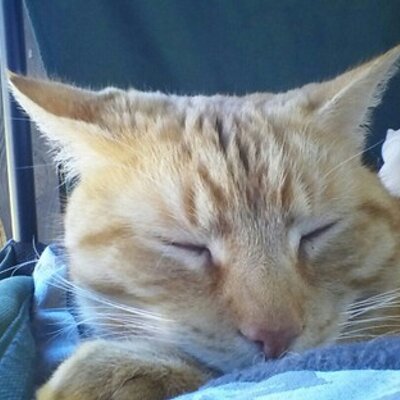 Profile Picture of Cameron Irby (@CameronIrby1) on Twitter