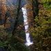 Profile Picture of John Shobert (@johnshobert) on Pinterest