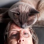 Profile Picture of Diane Leach (@diane.leach) on Instagram