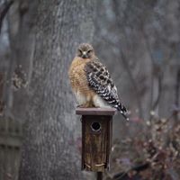 Profile Picture of Chuck Davidson (@chuck-davidson-15) on Quora