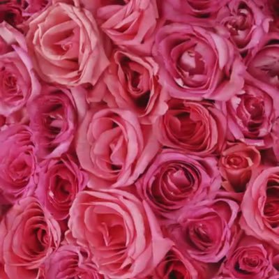 Profile Picture of Ariana Lushtak (@ariana_lushtak) on Twitter