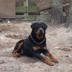 Profile Picture of Darrell 