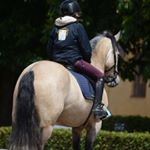 Profile Picture of Hanna Wilson (@hannawilsson) on Instagram