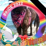 Profile Picture of Marilyn Baumgartner (@Marilyn-Baumgartner) on Facebook