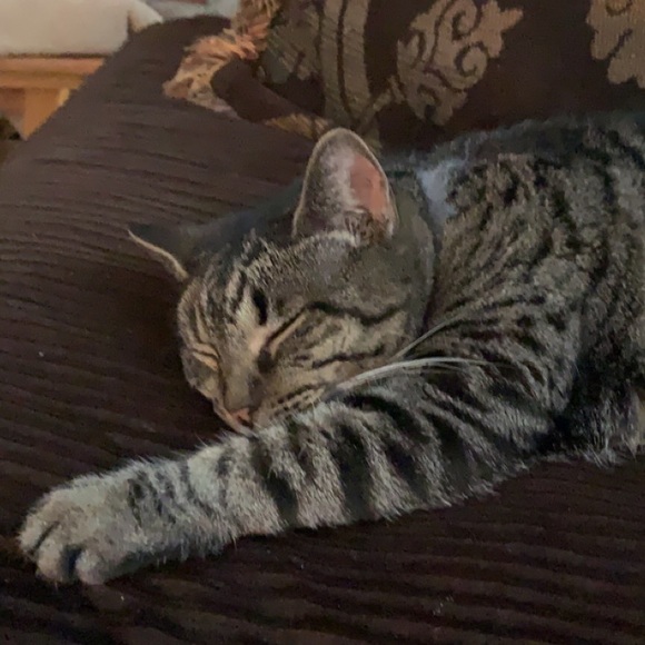 Katie Figura - Poshmark Profile Picture of Katie Figura (@katiefigura) on Poshmark