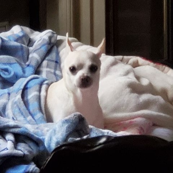 Profile Picture of Jeff Bradsher (@jbradsher02) on Poshmark