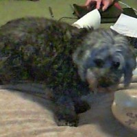 Profile Picture of Mickey Landers (@mickey-landers) on Quora