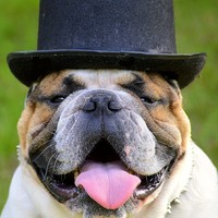 Profile Picture of Vincent Marrone (@vincent-marrone-1) on Quora