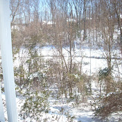 Profile Picture of Douglas Bailey (@douglasbailey2846) on Youtube