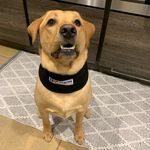 Robert Hughes - Instagram Profile Picture of Robert Hughes (@roberthughesplumbing) on Instagram