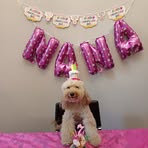 Profile Picture of Monica Del Gaudio (@Monica-Del-Gaudio) on Facebook