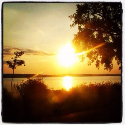 Profile Picture of Drew Walch (@AndyPandyMan90) on Twitter