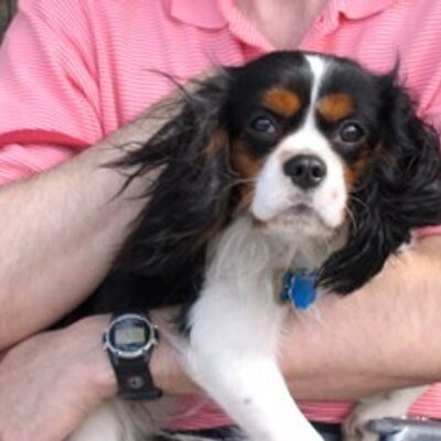 Profile Picture of Steven Shatz (@Sposea) on Twitter